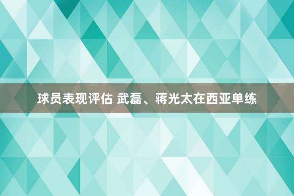 球员表现评估 武磊、蒋光太在西亚单练