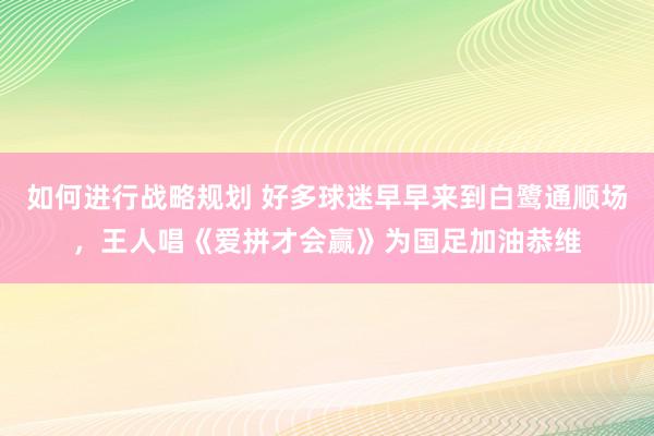 如何进行战略规划 好多球迷早早来到白鹭通顺场，王人唱《爱拼才会赢》为国足加油恭维