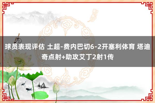 球员表现评估 土超-费内巴切6-2开塞利体育 塔迪奇点射+助攻艾丁2射1传