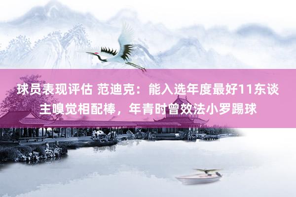 球员表现评估 范迪克：能入选年度最好11东谈主嗅觉相配棒，年青时曾效法小罗踢球