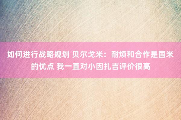 如何进行战略规划 贝尔戈米：耐烦和合作是国米的优点 我一直对小因扎吉评价很高