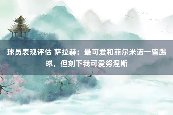 球员表现评估 萨拉赫：最可爱和菲尔米诺一皆踢球，但刻下我可爱努涅斯