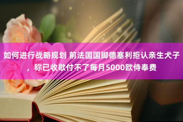 如何进行战略规划 前法国国脚德塞利拒认亲生犬子，称已收歇付不了每月5000欧侍奉费