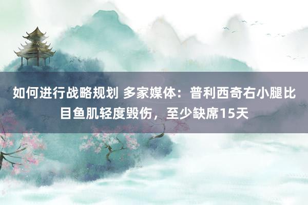 如何进行战略规划 多家媒体：普利西奇右小腿比目鱼肌轻度毁伤，至少缺席15天