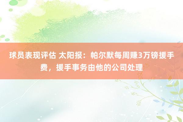 球员表现评估 太阳报：帕尔默每周赚3万镑援手费，援手事务由他的公司处理