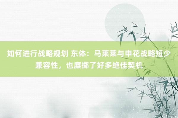 如何进行战略规划 东体：马莱莱与申花战略短少兼容性，也糜掷了好多绝佳契机