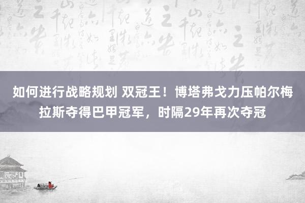 如何进行战略规划 双冠王！博塔弗戈力压帕尔梅拉斯夺得巴甲冠军，时隔29年再次夺冠