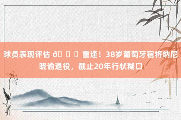 球员表现评估 👋重逢！38岁葡萄牙宿将纳尼晓谕退役，截止20年行状糊口